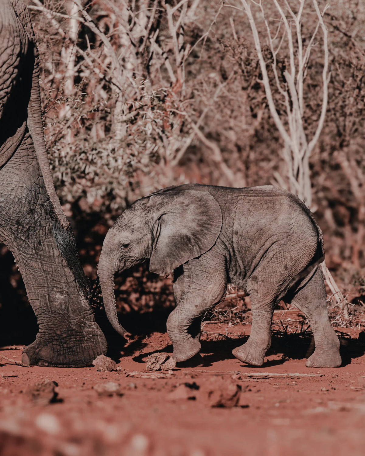 Tiny Strides