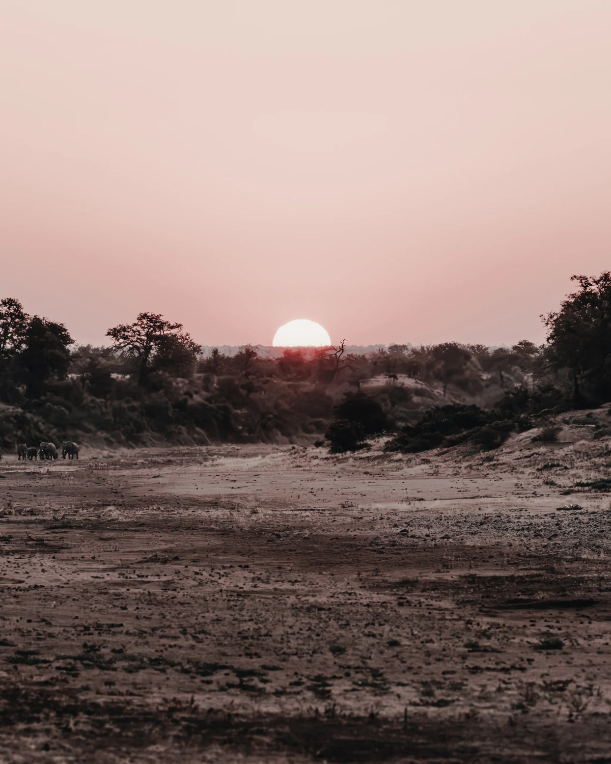 Shingwedzi Solstice