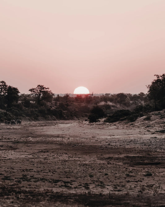 Shingwedzi Solstice