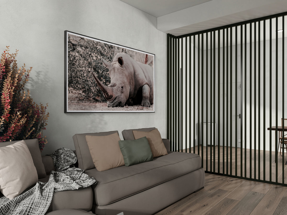 A framed fine art print of a rhinoceros hanging on a light grey wall above a modern grey sofa in a styled living room.