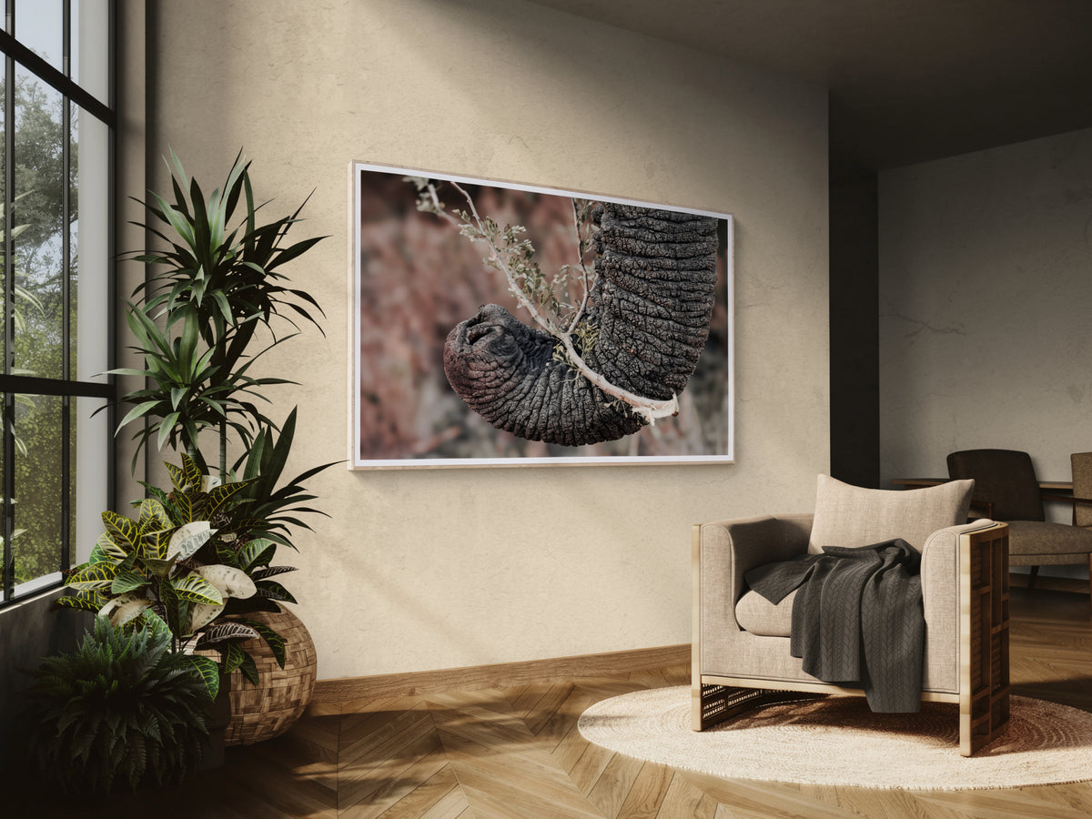 A framed wall fine art print showing a close-up of a dark textured elephant trunk hanging on a beige wall in a modern living room.