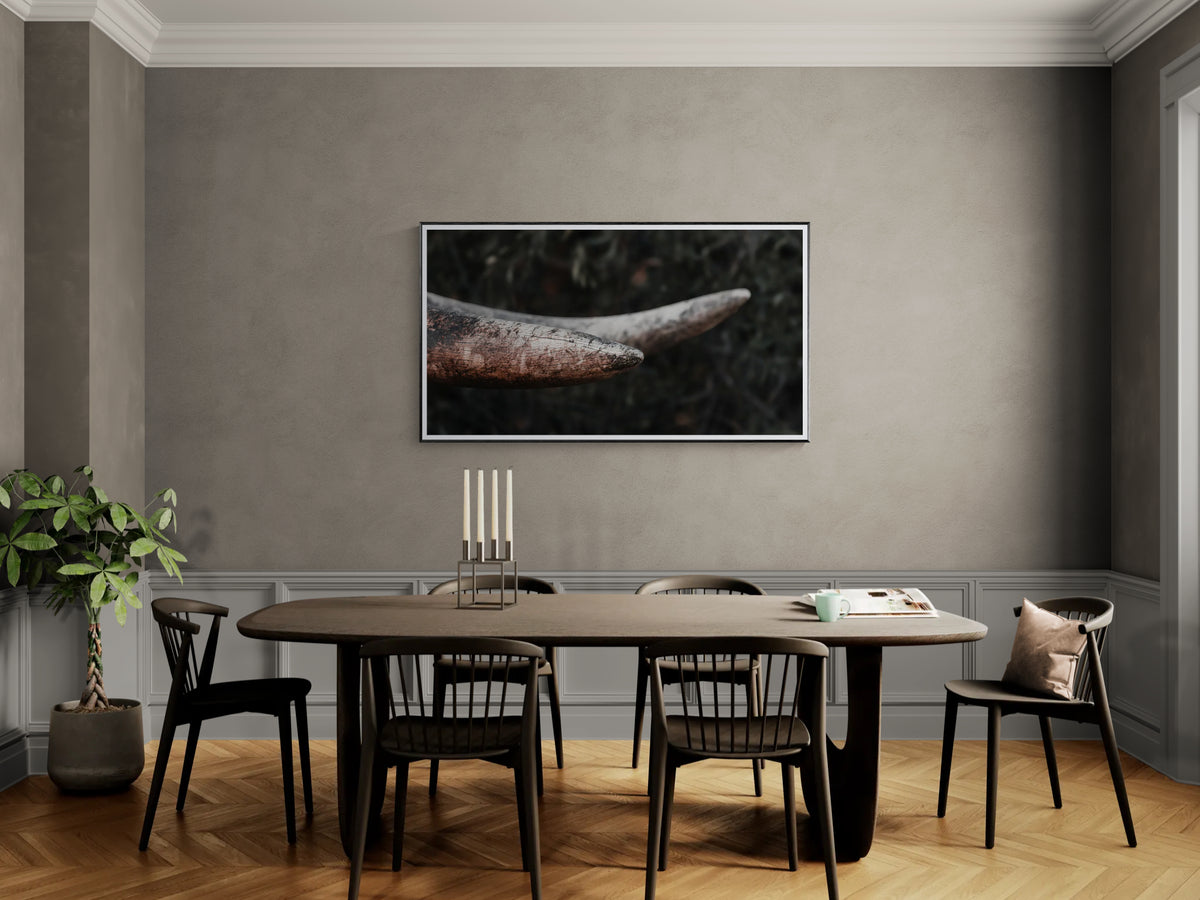 A framed wall fine art print depicting a close-up of elephant tusks against a dark background, displayed in a modern dining room setting.