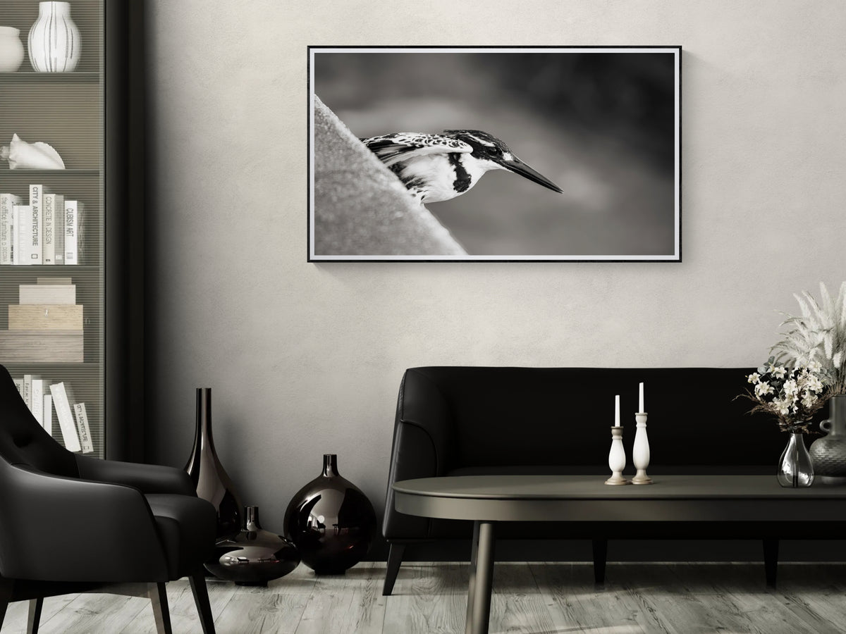 A framed black and white photograph of Precision depicting a pied kingfisher hanging on a light grey wall in a modern living room setting with a black sofa, coffee table, and decorative vases.