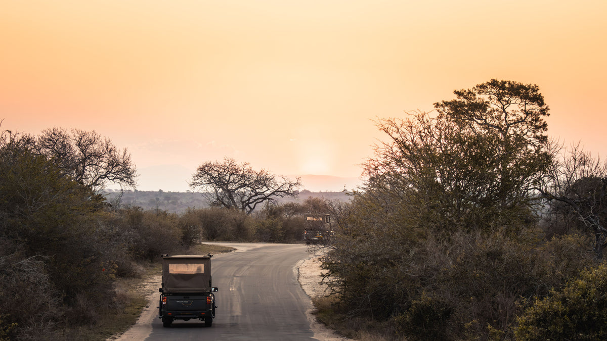 A scenic landscape photograph of a safari road at sunset, featuring a road winding through dry trees and bushes under a warm orange sky, with safari vehicles visible on the road.