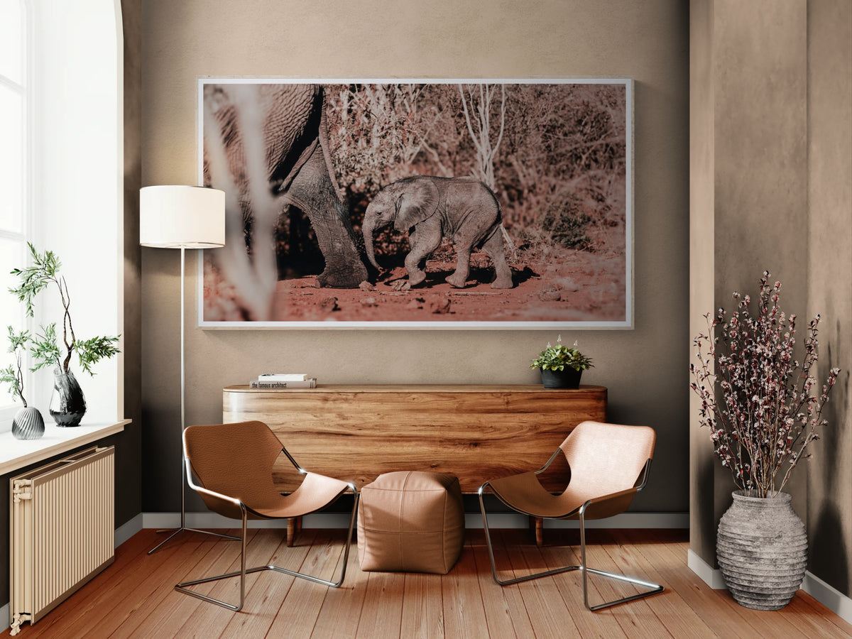 A framed wall fine art print depicting an elephant and calf in a dusty, arid landscape, displayed in a modern living room setting.