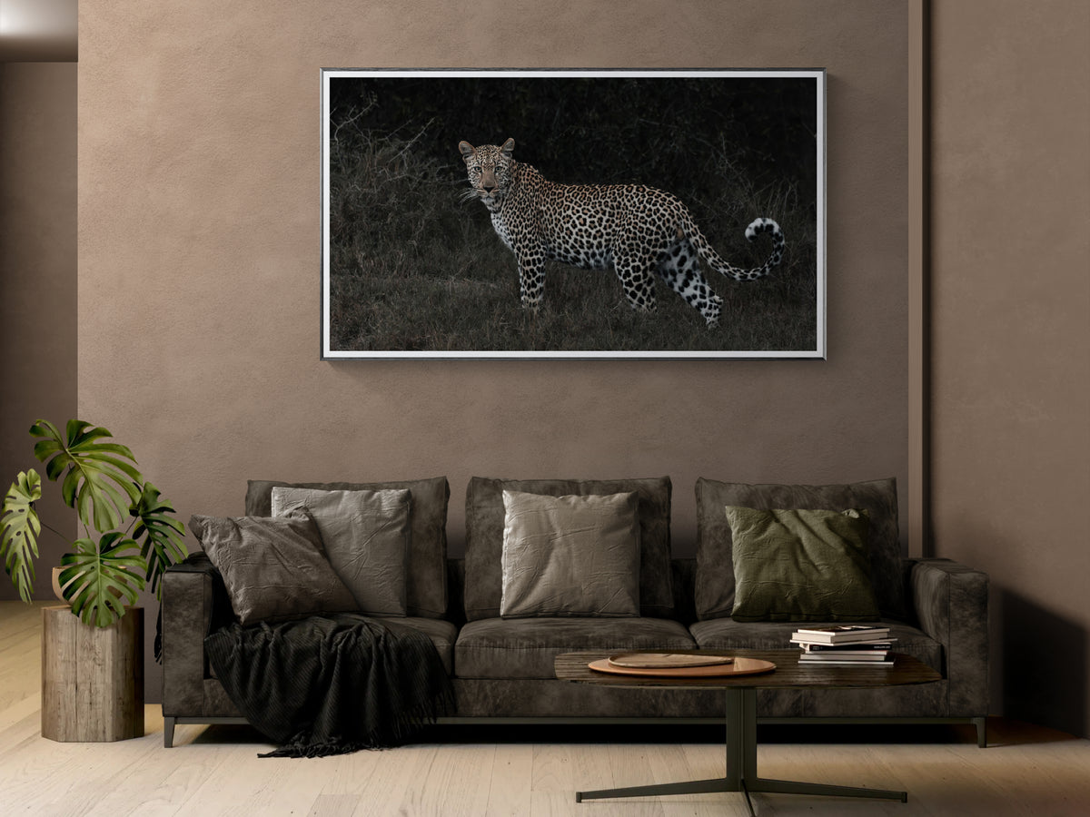 A framed wall art print of Unseen depicting a leopard in a dark natural setting, displayed above a grey sofa in a modern living room setting.